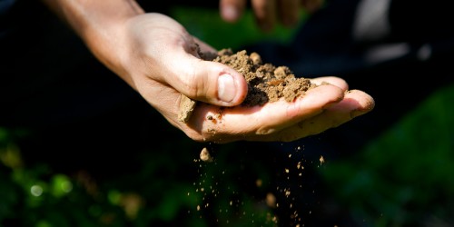 Dornach – l’agricoltura, come la viviamo noi
